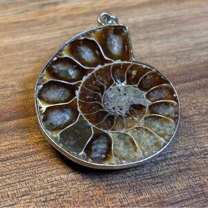 Ammonite Fossil Pendant Nautilus Slice
